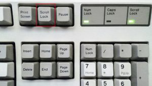 Nhấn Scroll Lock để tắt chế độ