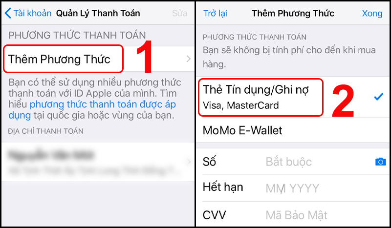Thiết lập thanh toán bằng VISA và MasterCard