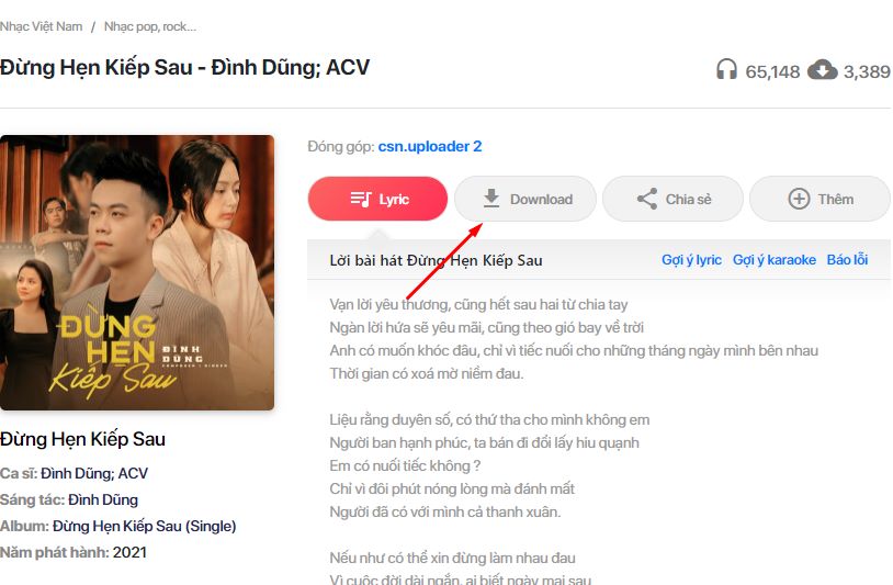 Cách tải nhạc chất lượng cao, tải nhạc lossless miễn phí 4