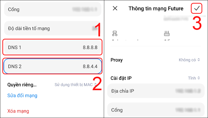 Nhập 8.8.8.8 và 8.8.4.4