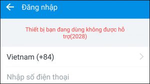 Lỗi 2028