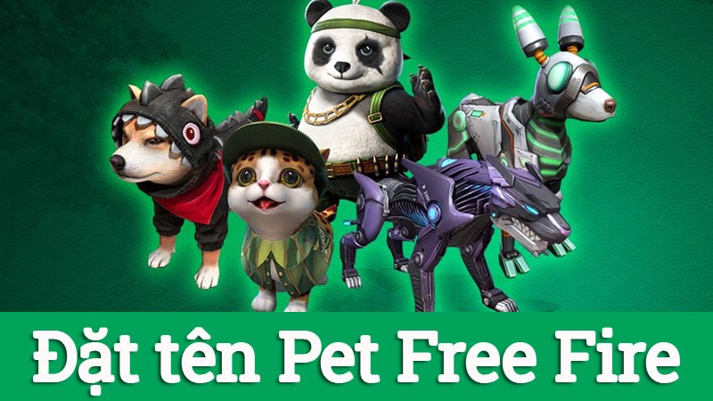 Đặt tên Pet FF (Free Fire) hay, dễ thương nhất | 101+ tên Pet FF ngầu Đặt tên Pet FF (Free Fire) hay, dễ thương nhất | 101+ tên Pet FF ngầu