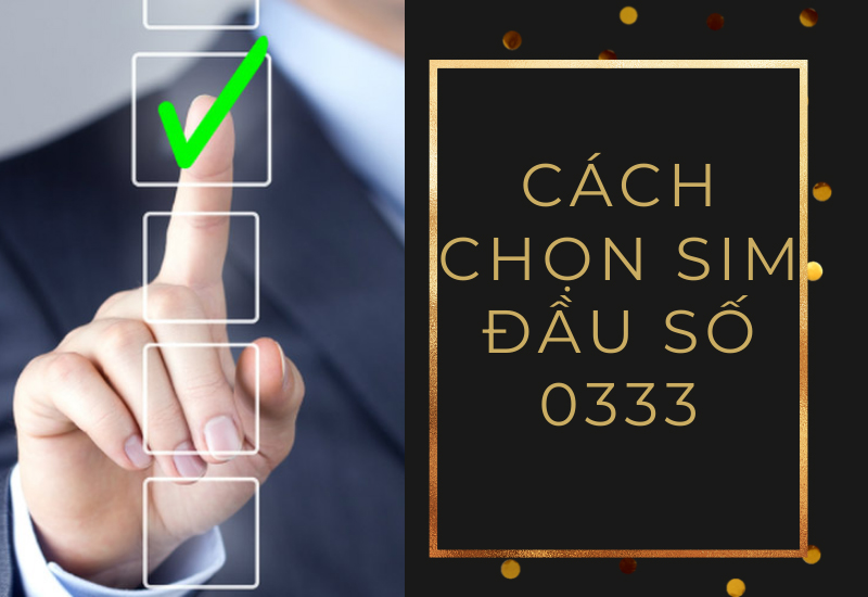 dau-so-0333-la-mang-gi-y-nghia-cua-dau-so-0333-co-phai-so-14-800x550-1 Bạn nên chọn mua SIM theo mục đích