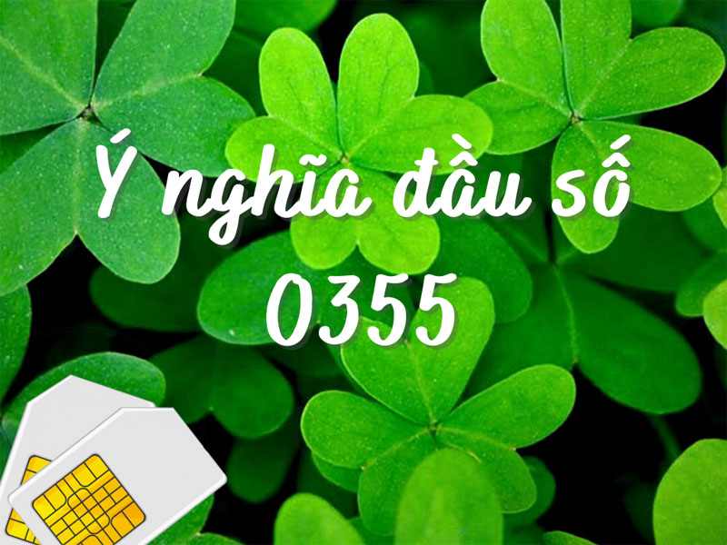 dau-so-0355-la-mang-gi-y-nghia-cua-dau-so-0355-co-phai-dau202-800x600-1 Phân tích ý nghĩa những con số trong đầu số 0355