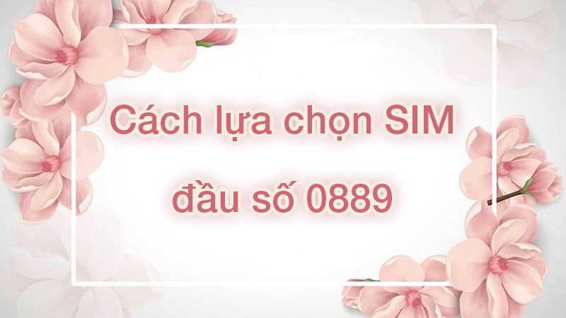 dau-so-0889-la-mang-gi-y-nghia-cua-dau-so-0889-co-phai-dau7-800x450-1 Cách lựa chọn SIM đầu số 0889 phù hợp