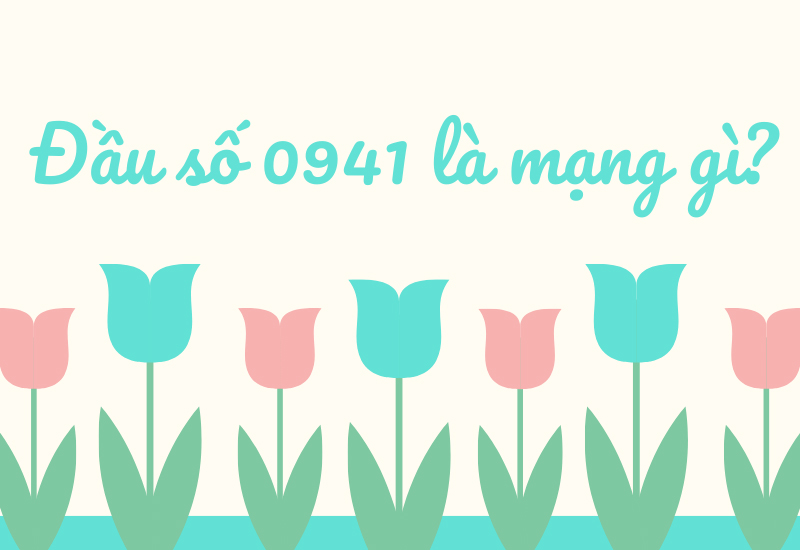 dau-so-0941-la-mang-gi-y-nghia-cua-dau-so-0941-co-phai-dau-11-800x550-2 Đầu số 0941 là mạng VinaPhone
