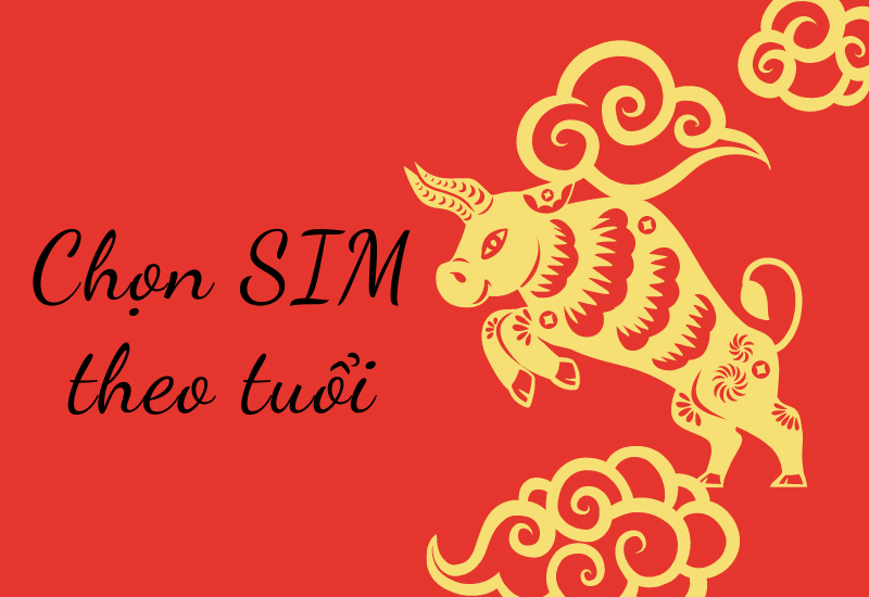 dau-so-0941-la-mang-gi-y-nghia-cua-dau-so-0941-co-phai-dau-18-800x550-1 Bạn nên chọn SIM hợp với tuổi của mình