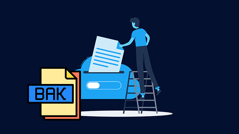 BAK phân biệt giữa bản gốc không thay đổi và bản người dùng đang chỉnh sửa