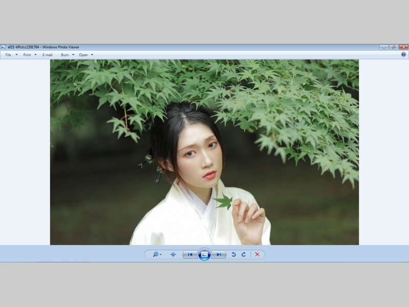Giao diện Windows Photo Viewer