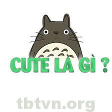 imager_1_11806_700-1 *