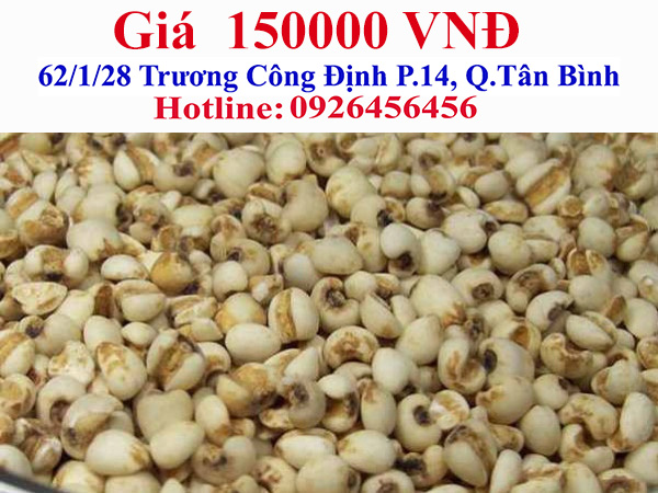 imager_1_1878_700-1 *