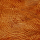 imager_1_2843_700-1 *