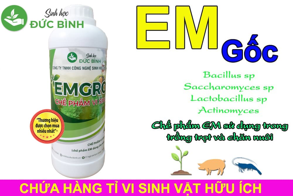 imager_1_419_700-1 *
