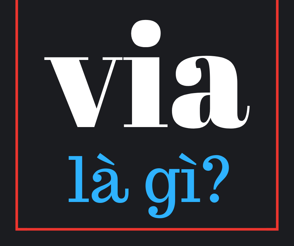 imager_1_4559_700-1 *