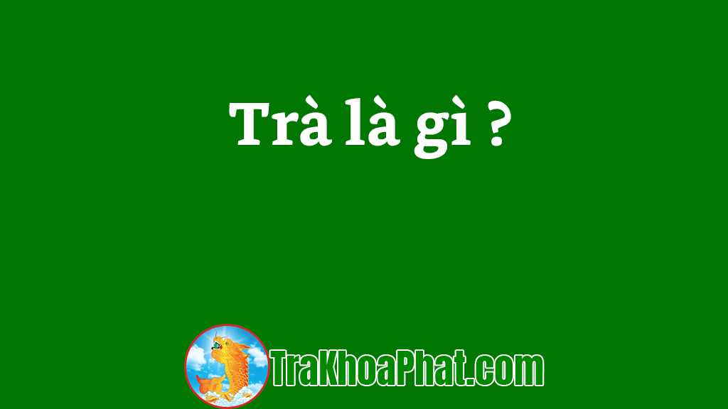 imager_1_6648_700-1 *