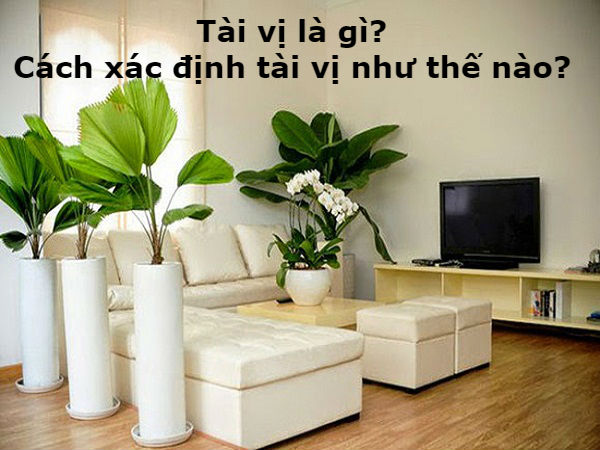 imager_1_9480_700-1 *