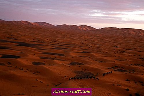 imager_2_1079_700 *