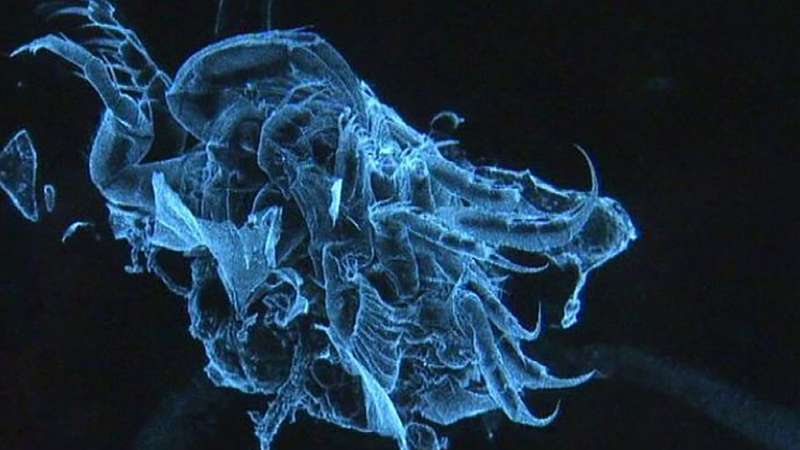 imager_2_11545_700 *