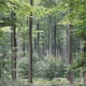 imager_2_2843_700 *