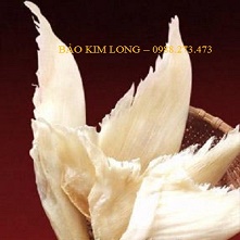 imager_2_4575_700 *