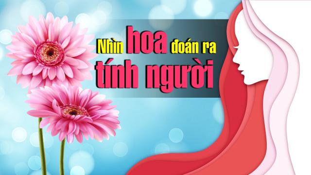 imager_2_8623_700 *