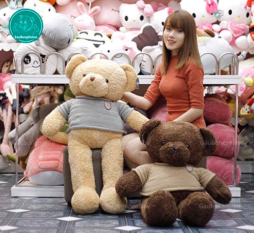imager_2_9104_700 *