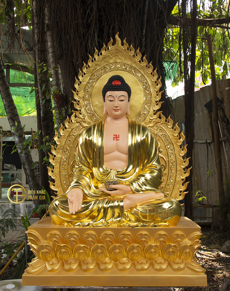 imager_33_7141_700 *