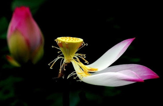 imager_3_3849_700 *