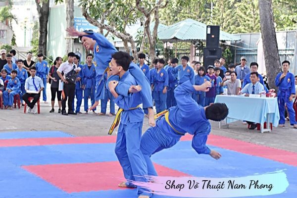 imager_3_4041_700 *