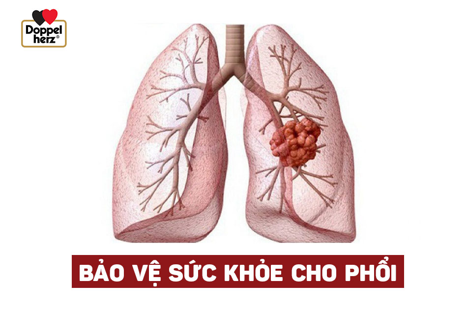 imager_3_5566_700 *