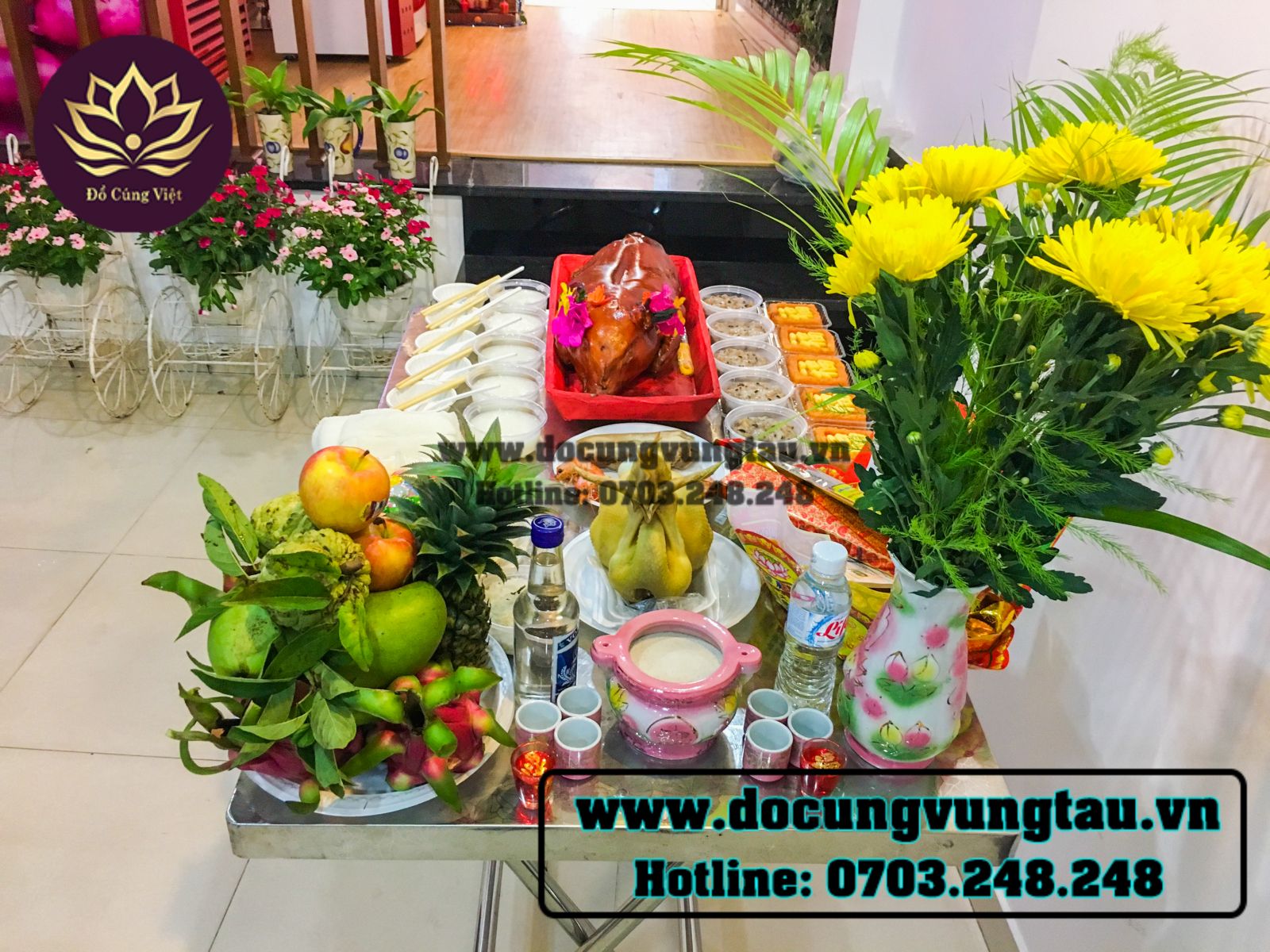 imager_3_9379_700 *