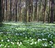 imager_5_2843_700 *