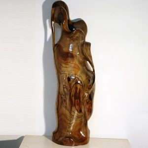 imager_5_3786_700 *