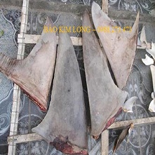 imager_7_4575_700 *
