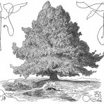 imager_8_2246_700 *