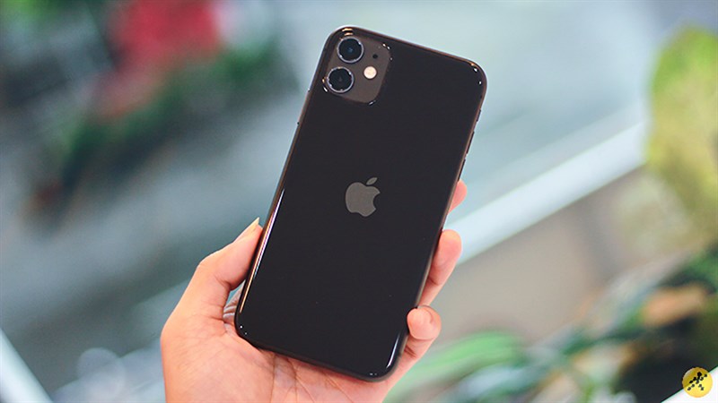 iPhone 11 iPhone 11