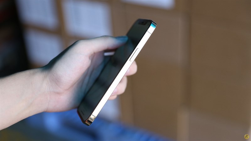 iPhone iPhone