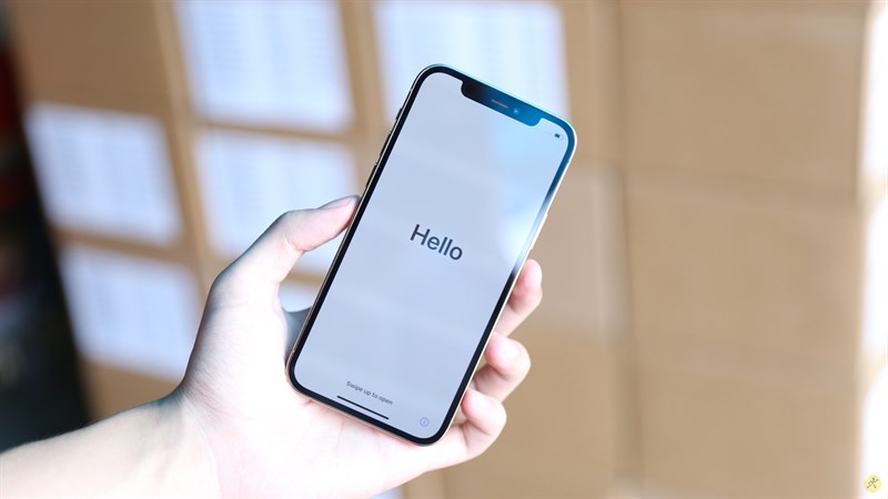 iPhone iPhone