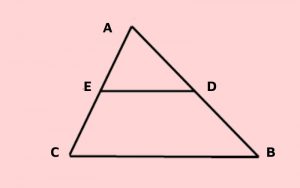 ED chính là đường trung bình của tam giác ABC