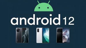 Danh sách thiết bị Xiaomi, Redmi, BlackShark... có thể lên Android 12