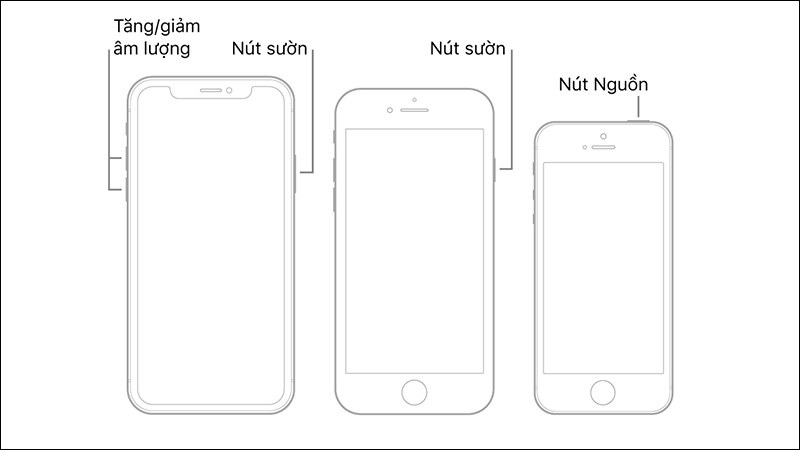 Vị trí nút nguốn (nút sườn) trên các dòng iPhone