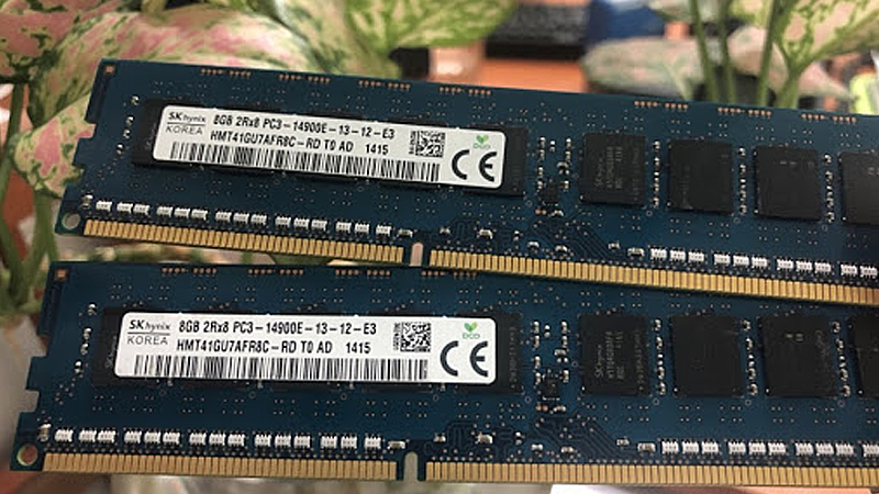 Vẻ ngoài của RAM Unbuffered ECC