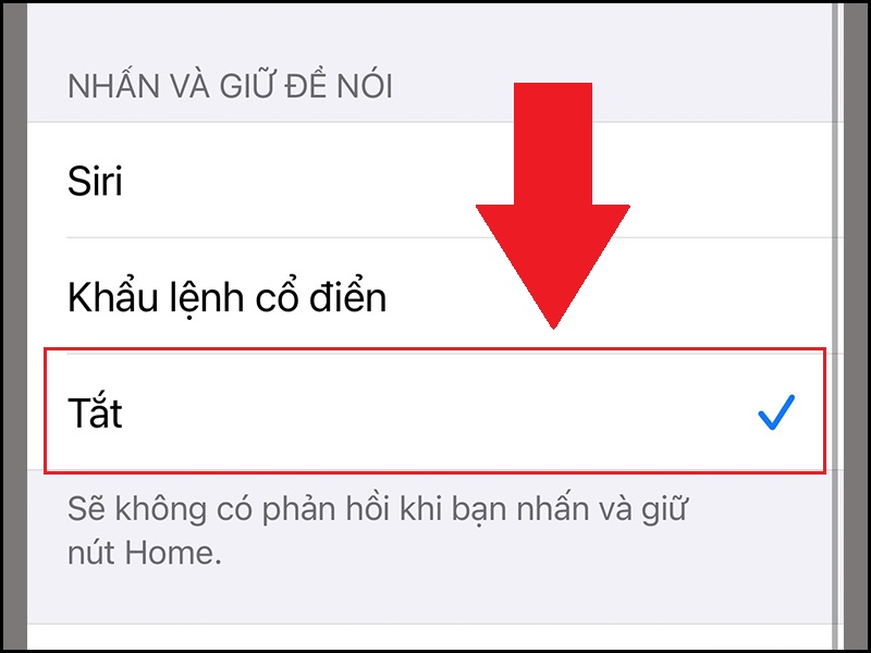 Tắt kích hoạt Voice Control khi nhấn đè nút Home