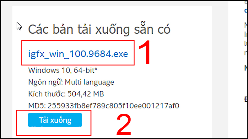 Chọn file .exe để cài dễ hơn