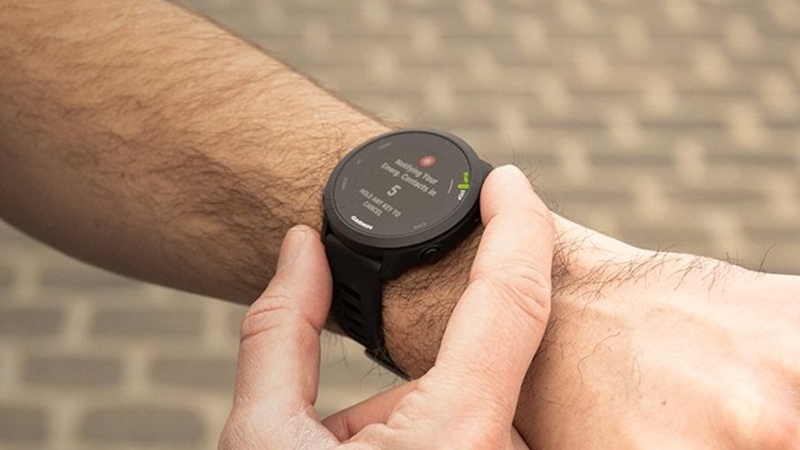 Garmin Forerunner 55 Garmin Forerunner 55