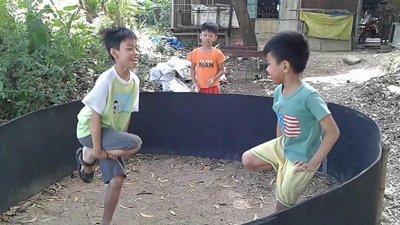 Trò chơi Đá gà Trò chơi Đá gà