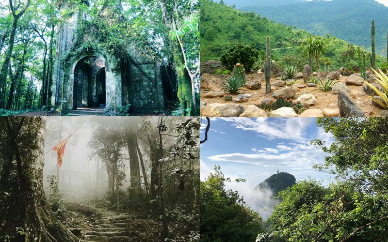 Vườn Quốc gia Ba Vì Vườn Quốc gia Ba Vì