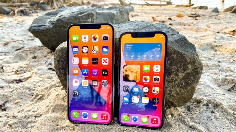 iPhone iPhone