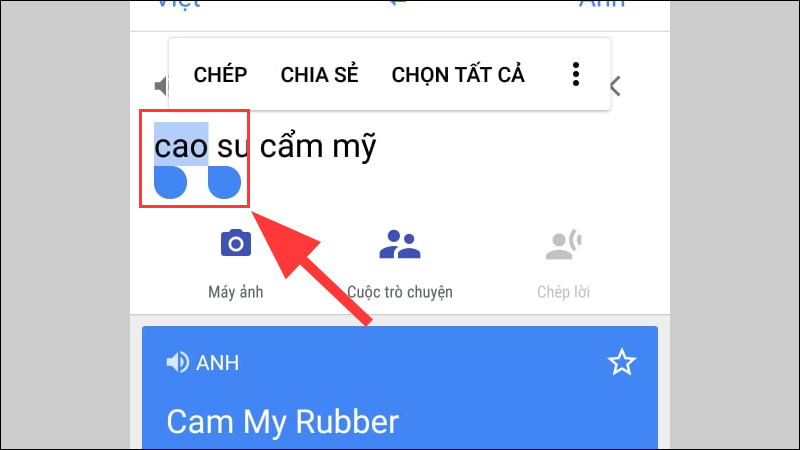 Nhấn và giữ văn bản bạn muốn sao chép