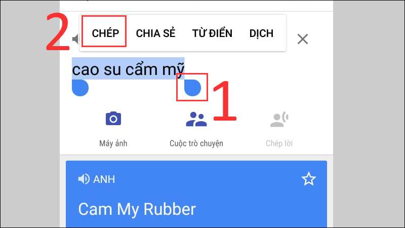 Nhấn vào Chép văn bản sẽ được sao chép vào khay nhớ tạm